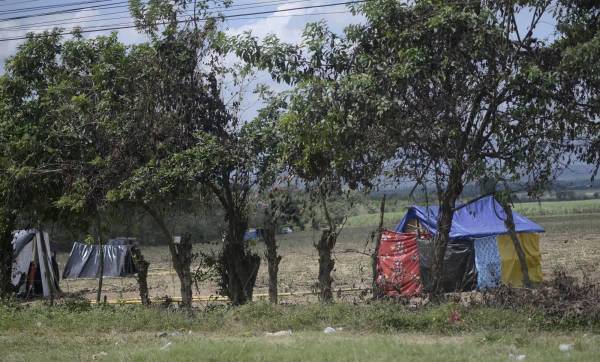 Invasiones causan más de US$180 millones en pérdidas a industria azucarera de Honduras