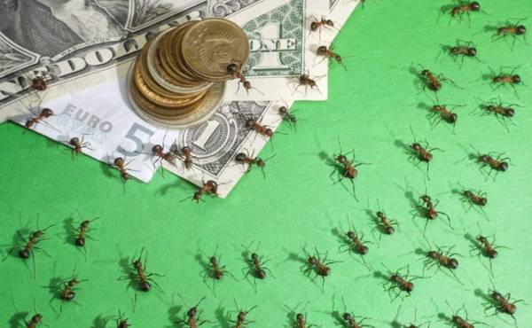 ¿Cuáles son los gastos hormigas que hacen que su salario se esfume?
