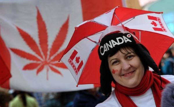 Canadá se prepara para la histórica legalización de la marihuana