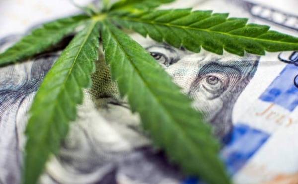 El negocio de la marihuana brilla cada vez más en Wall Street