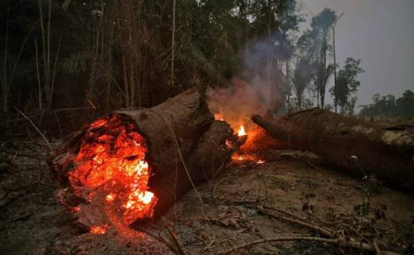 View of fire in the Amazon rainforest, near Abuna, Rondonia state, Brazil, on August 24, 2019. - President Jair Bolsonaro authorized Friday the deployment of Brazil's armed forces to help combat fires raging in the Amazon rainforest, as a growing global outcry over the blazes sparks protests and threatens a huge trade deal. (Photo by CARL DE SOUZA / AFP)