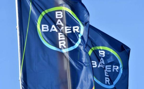 (FILES) In this file photo taken on February 28, 2018 the logo of German chemicals giant Bayer is seen on flags during the company's annual results press conference in Leverkusen. German chemicals and pharmaceuticals giant Bayer will discard the name Monsanto when it takes over the controversial US seeds and pesticides producer, the group said on June 4, 2018. / AFP PHOTO / Patrik STOLLARZ