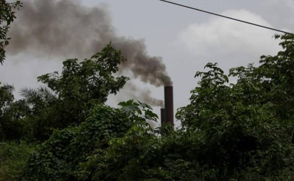 Guatemala: cierran empresa de palma africana por contaminación