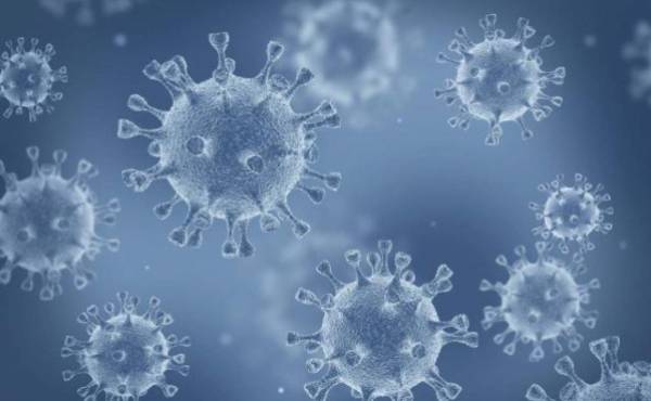 Virus de Marburgo: ¿Qué es, síntomas y por qué es una amenaza?