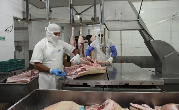 Costa Rica exportó 33 mil toneladas de carne bovina en 2021