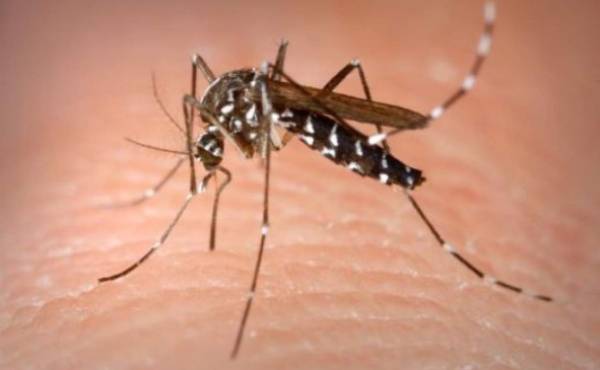 Primera vacunación contra el dengue en el mundo