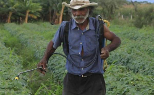 Las hortalizas y frutas serán los productos hondureños más beneficiados con la Unión Aduanera. (Foto: laprensa.hn).