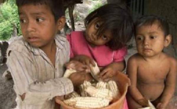 Guatemala cerró el 2015 con 14.380 casos de desnutrición aguda y 160 muertes. (Foto: Archivo)