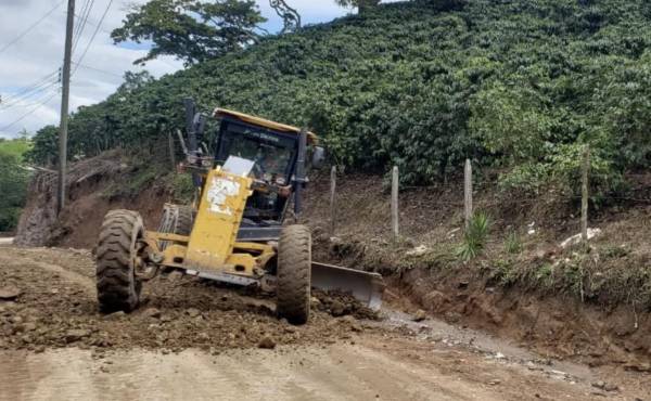 Honduras: Más de 50 municipios en emergencia por no poder acceder a cultivos de café