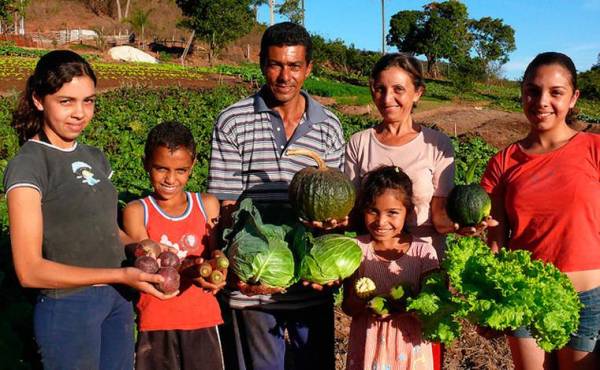 FAO propone vincular agricultura familiar ante alza mundial de precio de alimentos