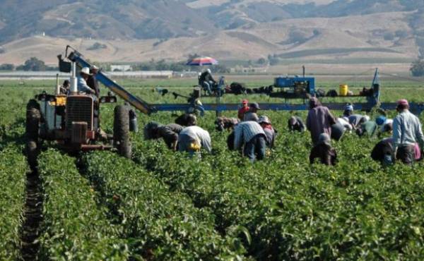 EEUU anuncia otras 20.000 visas para trabajadores centroamericanos