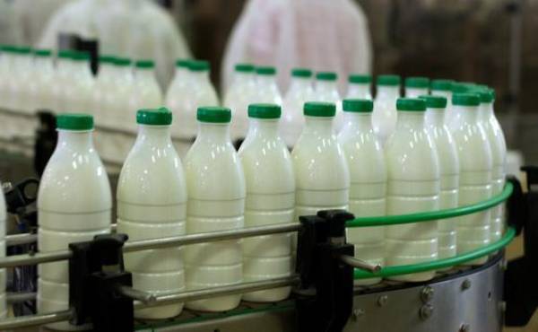 Advierten de un déficit del 30% en la producción de leche en El Salvador