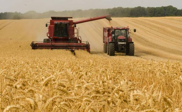 Ucrania lucha por llevar su trigo al mundo
