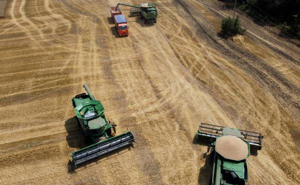 Rusia controla el 22% de las tierras de cultivo de Ucrania