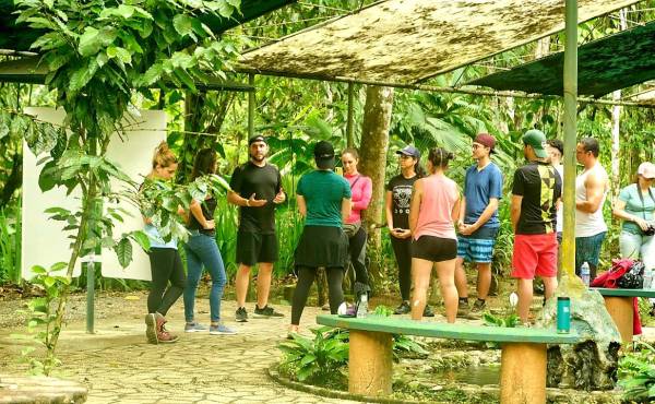 Costa Rica: Evento regional Wellness Summit busca posicionar al país en temas de bienestar
