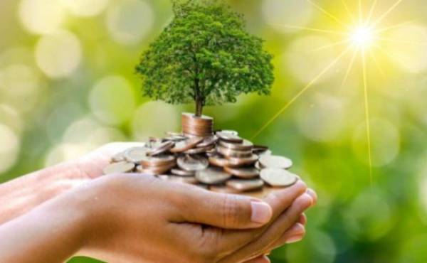 Costa Rica: Fundación CRUSA invertirá en bonos sostenibles para impulsar la reactivación de pymes