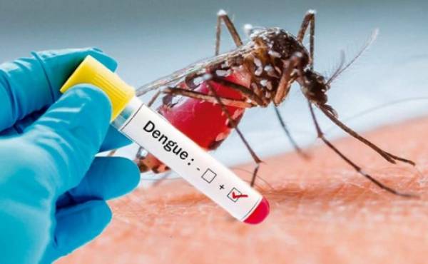 Crean una prueba ultrasensible para el virus del dengue